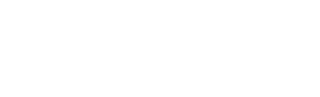 logo de l'IUT Lyon 1